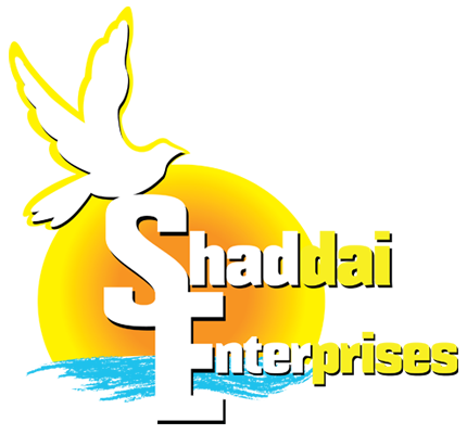Flash Construction Logo